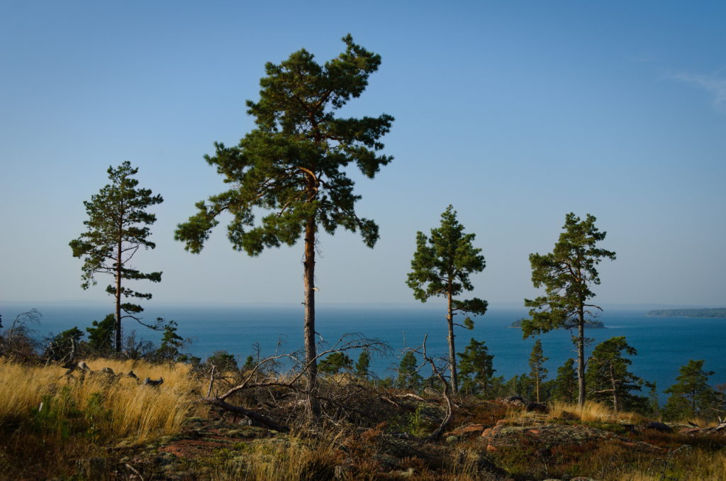 De fyra vakterna utefter Mickelsö vandringsled på Vårdö, Åland.