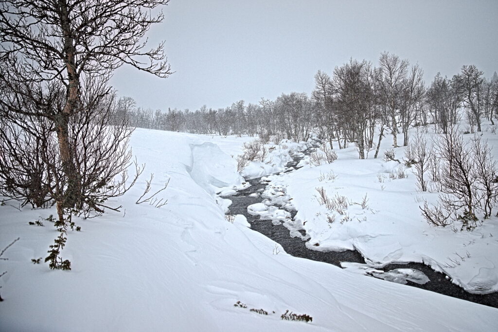 Bäcken Uckan rinner genom det snöiga landskapet, Vedungsfjällen, Idre, Sverige.