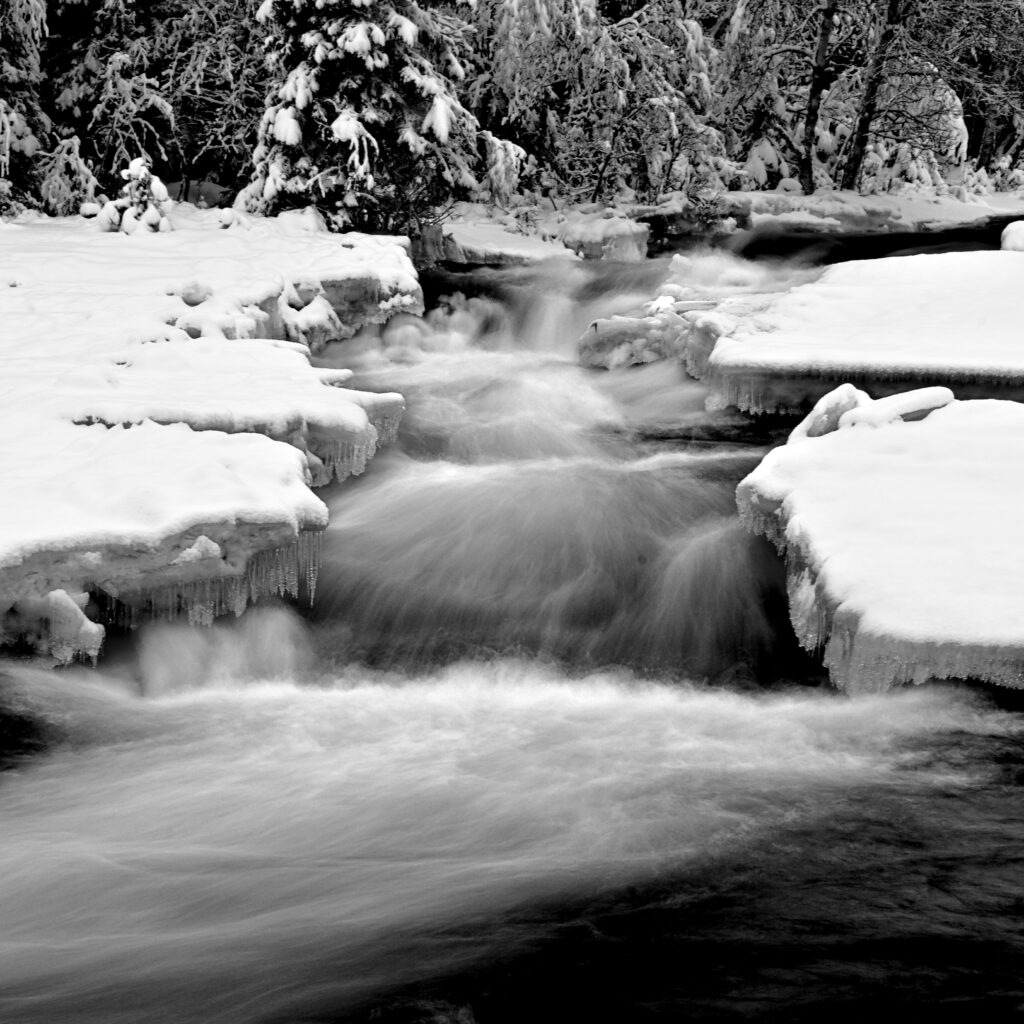 Närbild på Klingforsen i svartvitt. Brusande vatten med snötyngda träd och tjock is.