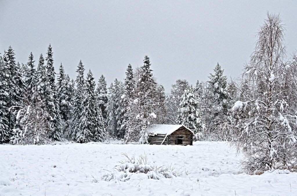 Timrat uthus vid äng längs Storån, Foskros, klätt i snö.